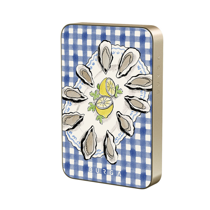 CM_10MS_MagPbank10K-GO