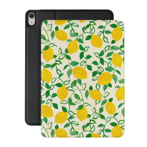 CM_15IP_iPAD_AIR_10.9