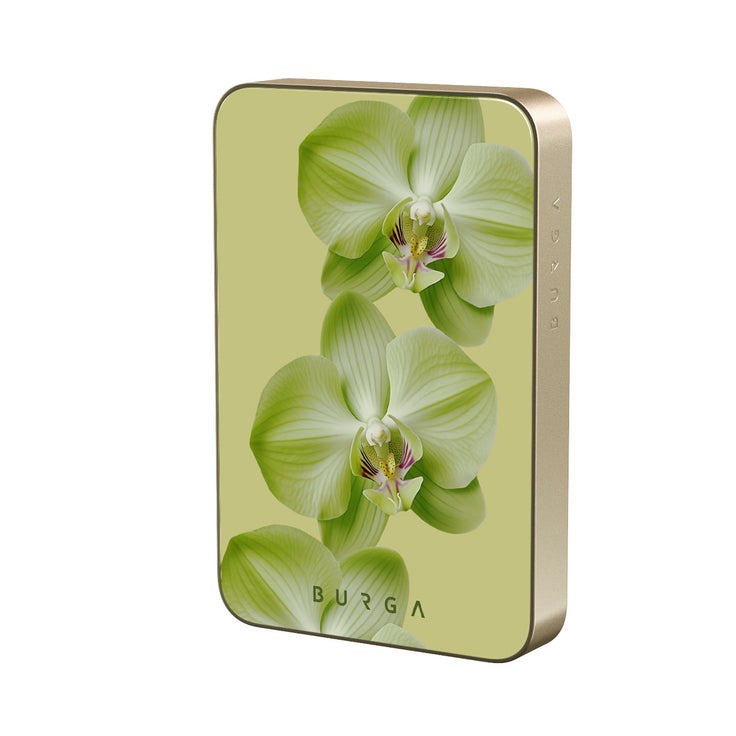 SO_01MS_MagPbank10K-GO