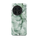 Pistachio Cheesecake - Green OnePlus 12 Case