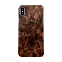 Toasted Chestnut - Brown iPhone X / XS Case 1